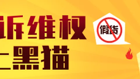 篮球优先：桑顿谈文化课易忘与运动热情